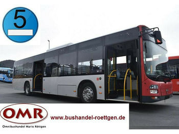 Городской автобус MAN A37 Lion´s City/A20/A21/530/Citaro/EEV: фото 1