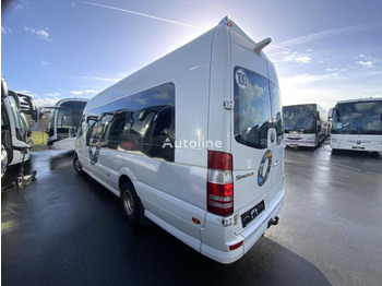 Микроавтобус, Пассажирский фургон Mercedes Sprinter 519 CDI: фото 3