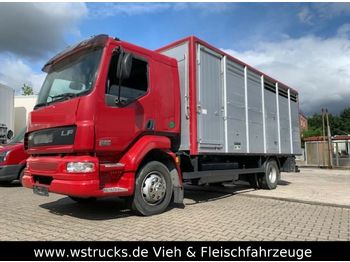 Грузовик для перевозки животных DAF LF 55 Einstock KABA
