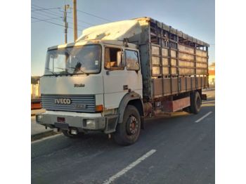 IVECO 175.24 Turbo left hand drive 19 ton Manual Cattle - Грузовик для перевозки животных