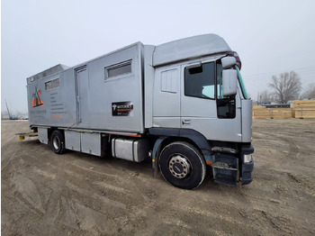 Коневоз IVECO Eurocargo 190 E 38 - 4 horses transporter: фото 3