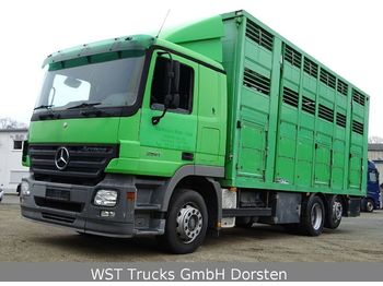 Грузовик для перевозки животных Mercedes-Benz Actros  2541 Menke 3 Stock Vollalu: фото 1
