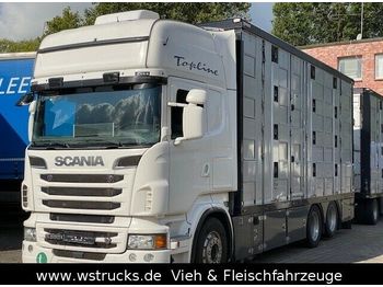 Грузовик для перевозки животных Scania R 560 Topline Menke 4 Stock Hubdach: фото 1