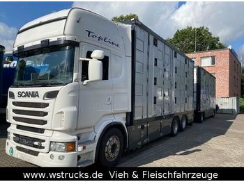 Грузовик для перевозки животных Scania R 560 Topline Menke 4 Stock Hubdach Komplett: фото 1
