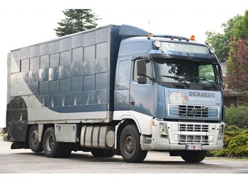 Грузовик для перевозки животных Volvo FH12/500 3 STOCK CUPPERS!!: фото 1