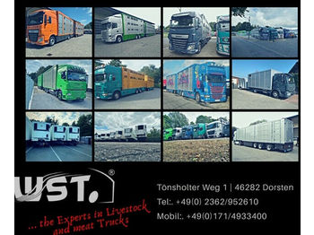 Тентованный полуприцеп Krone SDP 27 Profi Liner , , BPW , XL Code