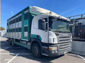 Грузовик для перевозки животных SCANIA P 380