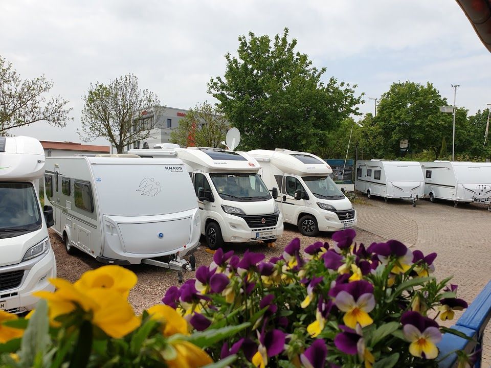 Rob-Caravan undefined: фото 2