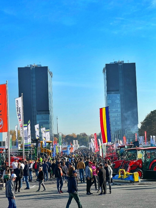 INDAGRA undefined: фото 2