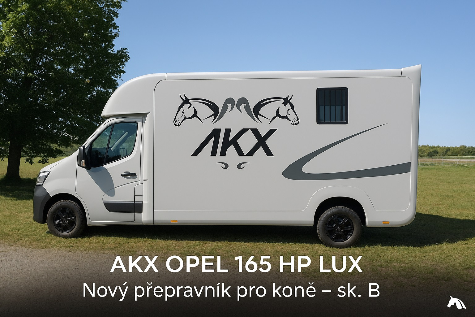 STX Horseboxes Czech rep. undefined: фото 2