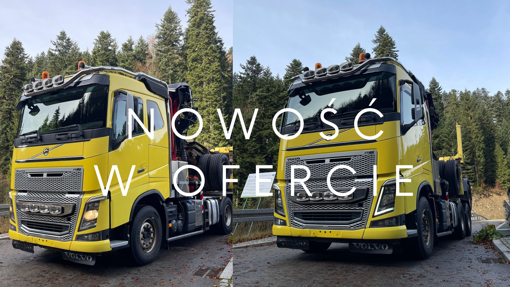 JANUSZKI SC undefined: фото 2