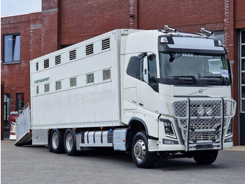 Грузовик-шасси VOLVO FH16 750