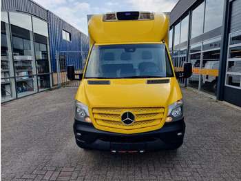 Фургон-рефрижератор Mercedes-Benz Sprinter 516 CDI koelkoffer Carrier Pulsor 400 MT ST 380V Euro 6: фото 3