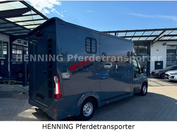 Коневоз Opel Movano 3 - Sitzer *AUFBAU NEU*: фото 2