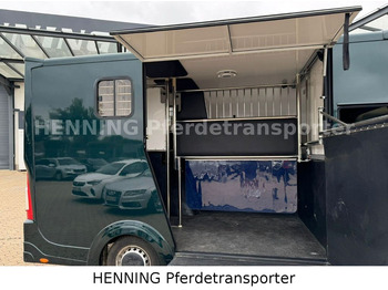 Коневоз Renault Master 5 -  Sitzer Automatik: фото 5
