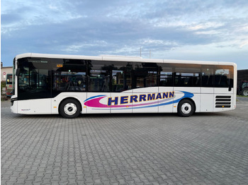 Городской автобус MAN Lion's Intercity LE 12: фото 5 Городской автобус MAN Lion's Intercity LE 12: фото 5