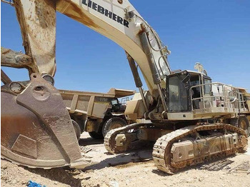 Экскаватор LIEBHERR