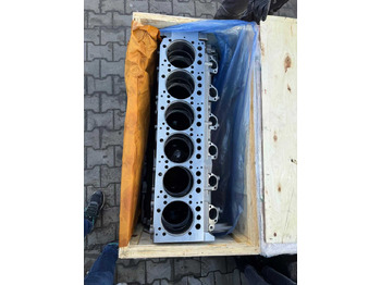 Двигатель JAGUAR