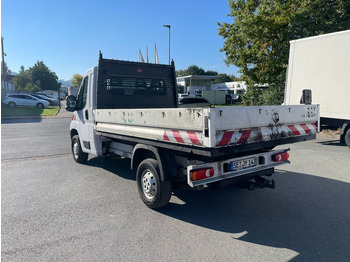 Малотоннажный бортовой грузовик Fiat Ducato: фото 3 Малотоннажный бортовой грузовик Fiat Ducato: фото 3