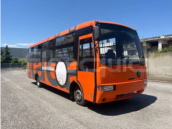 Школьный автобус IVECO