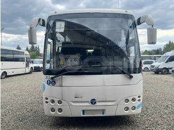 Городской автобус TEMSA