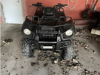 Квадроцикл Kawasaki 300 BRUTE FORCE 2*4: фото 2