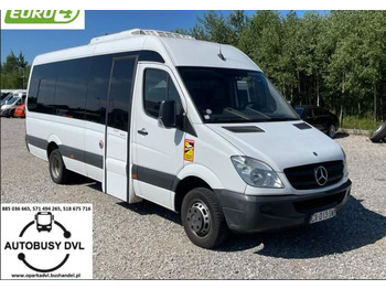 Микроавтобус MERCEDES-BENZ Sprinter