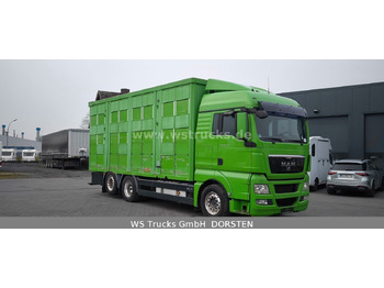 Коневоз MAN TGX 26.480 XL KABA   3 Stock Vollalu: фото 3