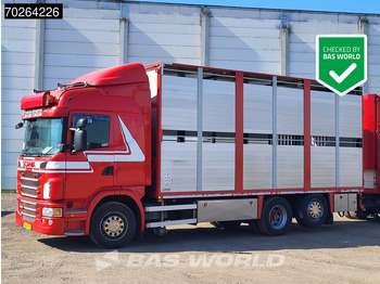 Scania G420 6X2 Van Dijk Cattle transport Liftable floor Lift-Asche Euro 5 в лизинг Scania G420 6X2 Van Dijk Cattle transport Liftable floor Lift-Asche Euro 5: фото 1