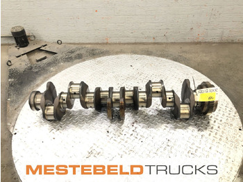 Двигатель RENAULT Magnum