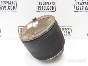 Воздушная подвеска DAF