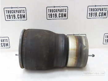 Воздушная подвеска DAF