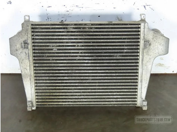 Радиатор для Грузовиков DAF LF 55 Cooling System Interkoeler DAF LF: фото 2