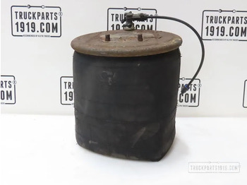 Воздушная подвеска SCANIA