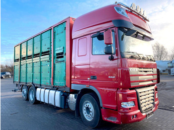 Грузовик для перевозки животных DAF XF 105 460