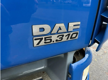 Автоманипулятор DAF CF 310 75-310 Kraan truck: фото 4