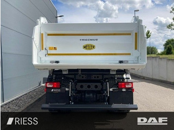 Новый Самосвал DAF XD 450 FAD 8x4 Meiller DSK Trigenius Meiller Tri DAF XD 450 FAD 8x4 Meiller DSK Trigenius Meiller Tri: фото 4