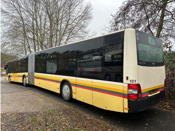 Сочленённый автобус MAN A 23 Lion´s City G (TÜV 10/25): фото 2