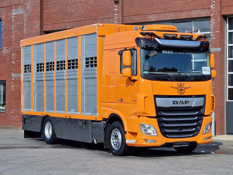 DAF XF 530 4x2 - Livestock Menke 2 deck water & ventilation - Грузовик для перевозки животных: фото 3 DAF XF 530 4x2 - Livestock Menke 2 deck water & ventilation - Грузовик для перевозки животных: фото 3