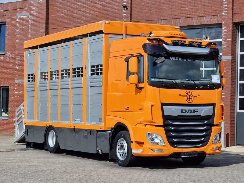 DAF XF 530 4x2 - Livestock Menke 2 deck water & ventilation - Грузовик для перевозки животных: фото 1 DAF XF 530 4x2 - Livestock Menke 2 deck water & ventilation - Грузовик для перевозки животных: фото 1