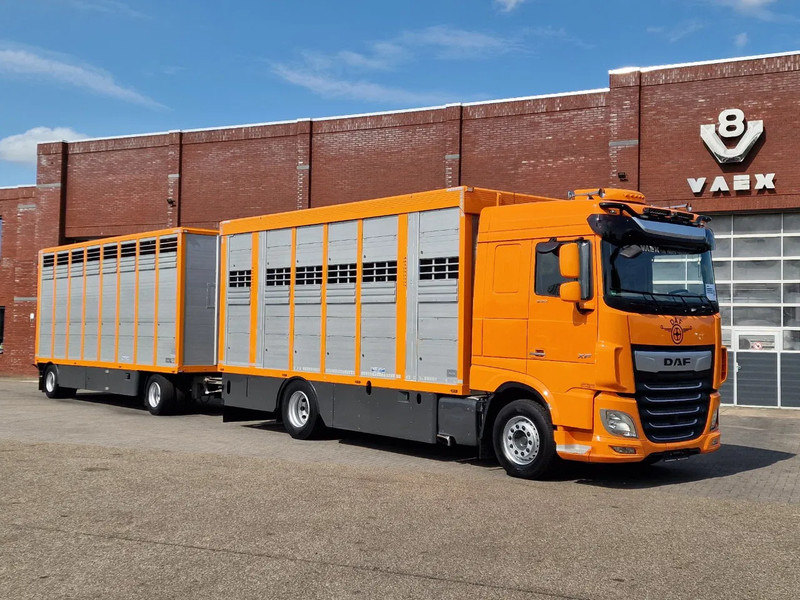 DAF XF 530 4x2 - Livestock Menke + 2018 Menke trailer 2 deck - Water + Ventilation - Lifting roof - Грузовик для перевозки животных: фото 2 DAF XF 530 4x2 - Livestock Menke + 2018 Menke trailer 2 deck - Water + Ventilation - Lifting roof - Грузовик для перевозки животных: фото 2