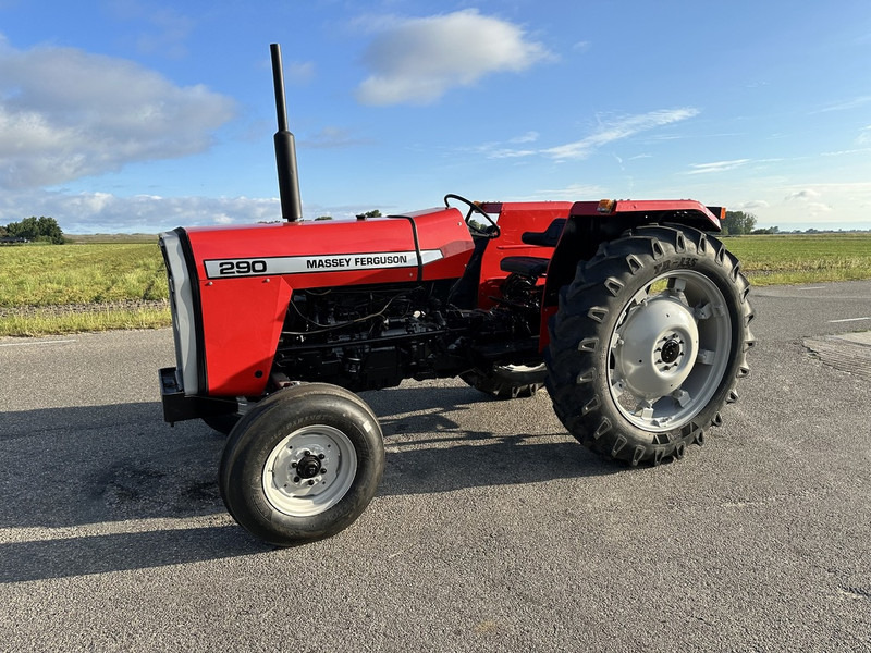 Трактор Massey Ferguson 290: фото 1