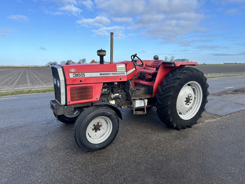Massey Ferguson 365 - Трактор: фото 1 Massey Ferguson 365 - Трактор: фото 1