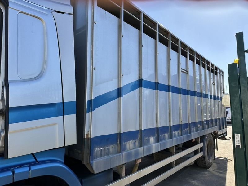 Scania P310 4x2 BOX 7m - MANUAL - AIR SUSPENSION - A/C - BELGIAN TRUCK - Грузовик с закрытым кузовом: фото 5 Scania P310 4x2 BOX 7m - MANUAL - AIR SUSPENSION - A/C - BELGIAN TRUCK - Грузовик с закрытым кузовом: фото 5