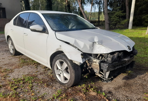 Легковой автомобиль Skoda Octavia: фото 1