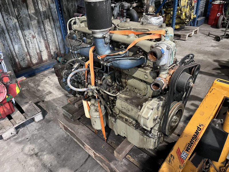 DAF DH 825 daf - MEERDERE OP VOORRAAD - Двигатель для Грузовиков: фото 1 DAF DH 825 daf - MEERDERE OP VOORRAAD - Двигатель для Грузовиков: фото 1