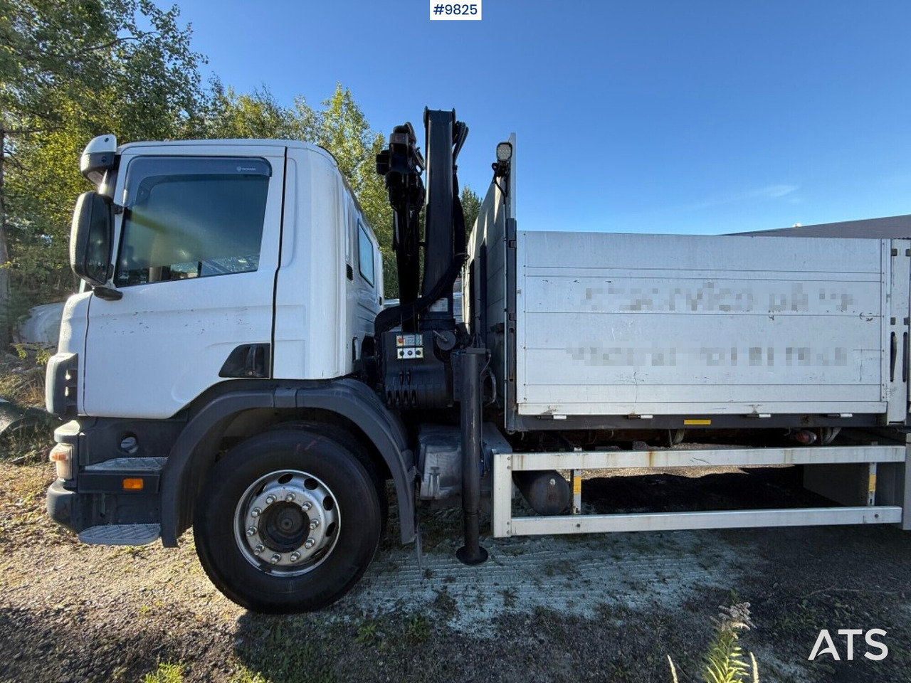 Грузовик бортовой/ Платформа, Автоманипулятор Crane truck Scania P94 230 with tail lift: фото 7