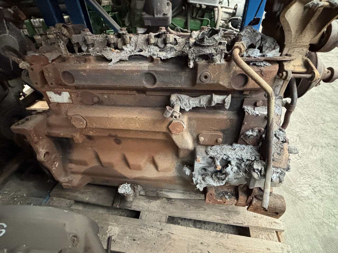 John Deere 6205 6505 6510 Silnik CZĘŚCI 6068DL050 - Двигатель и запчасти для Сельскохозяйственной техники: фото 5 John Deere 6205 6505 6510 Silnik CZĘŚCI 6068DL050 - Двигатель и запчасти для Сельскохозяйственной техники: фото 5