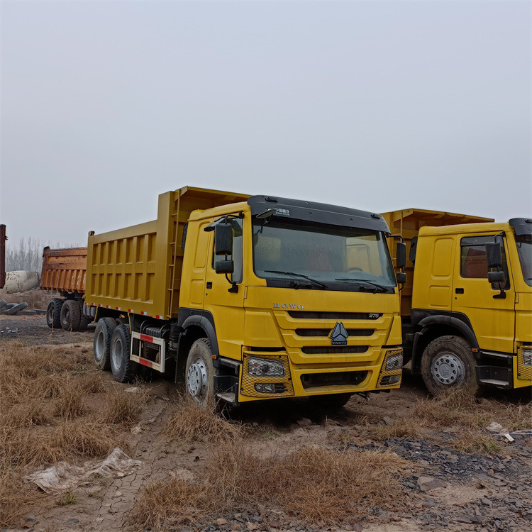 Самосвал HOWO HOWO 6x4-375 Tipper-Yellow: фото 9