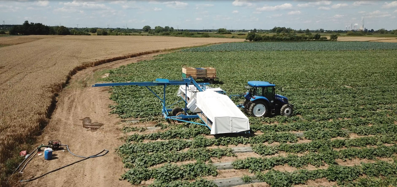 AGRO-LIFT Kombajn do ogórków - Комбайн: фото 5 AGRO-LIFT Kombajn do ogórków - Комбайн: фото 5